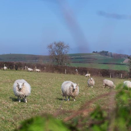 Beautiful Countryside Cottage On The North Wales Coast Абергели Екстериор снимка